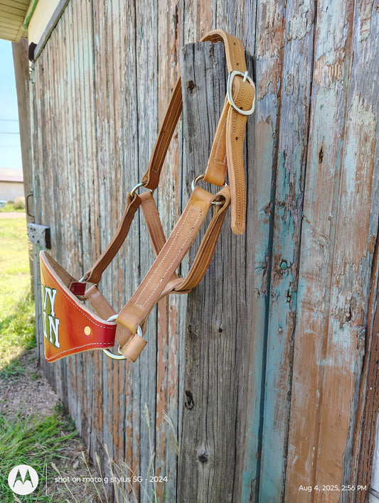 Gravy train bronc halter