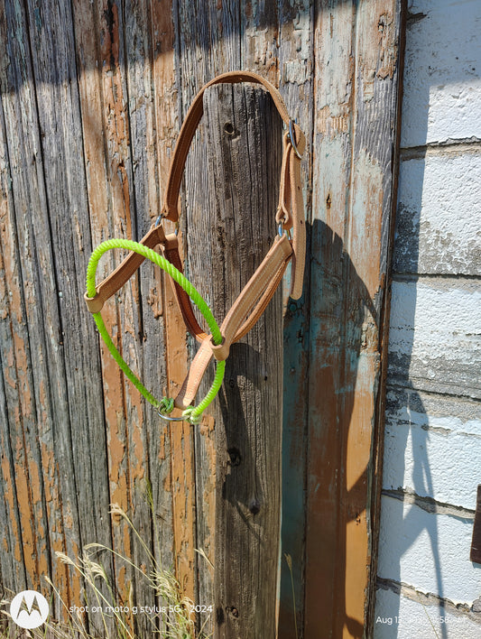 Rope noseband halter