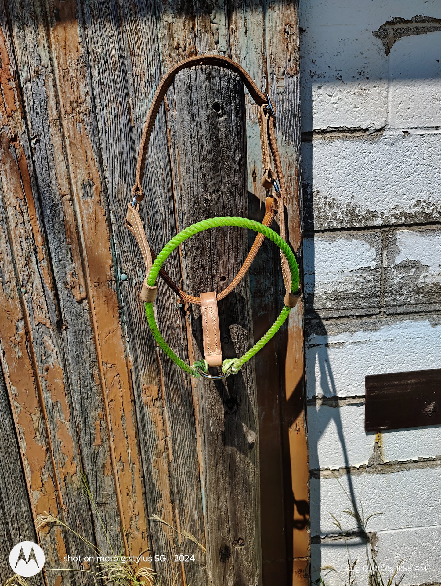 Rope noseband halter