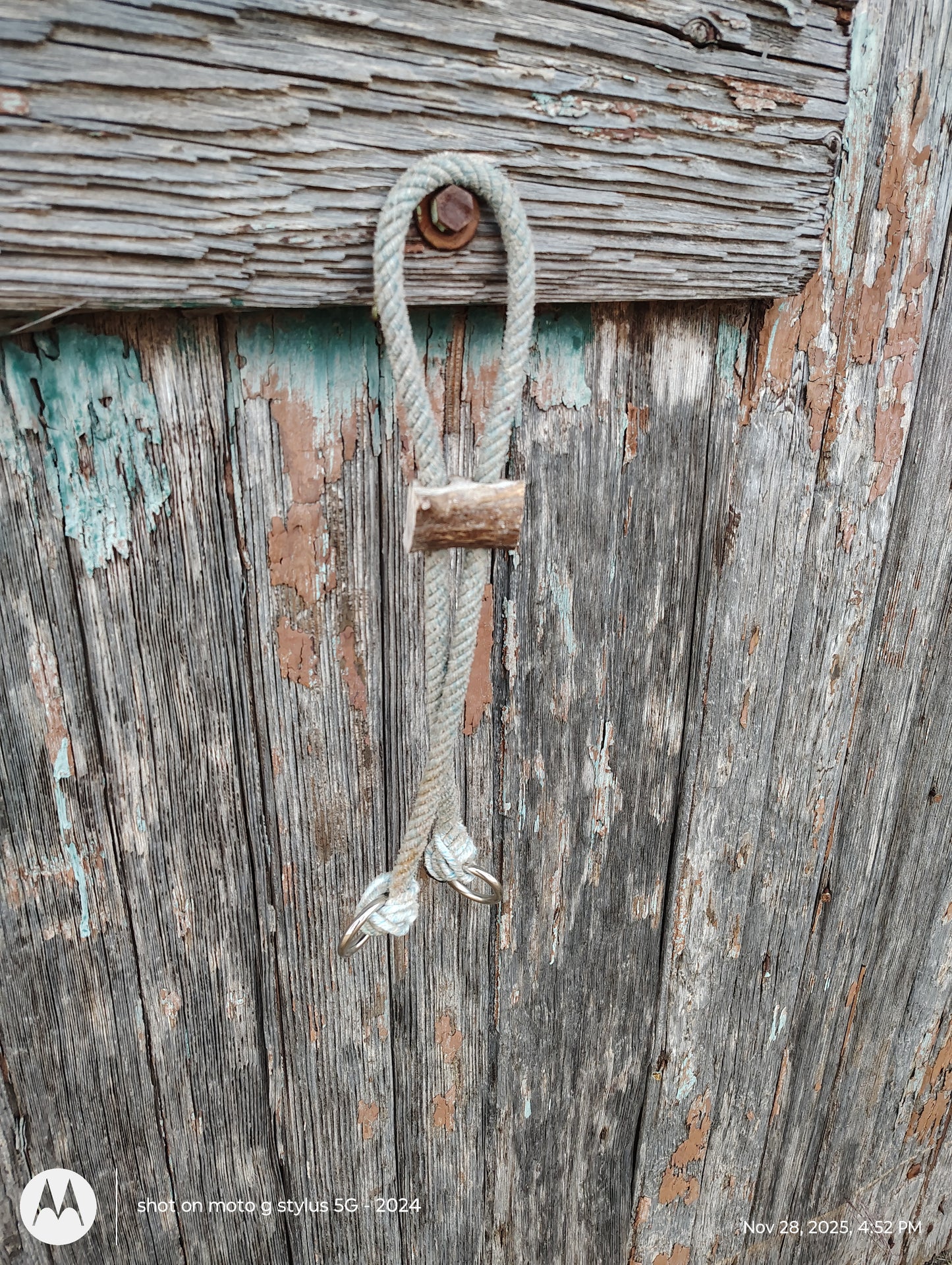 War bridle with deer antler slide