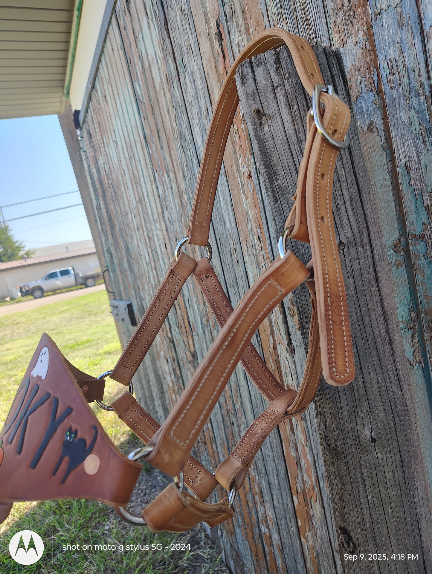 Spooky bronc halter