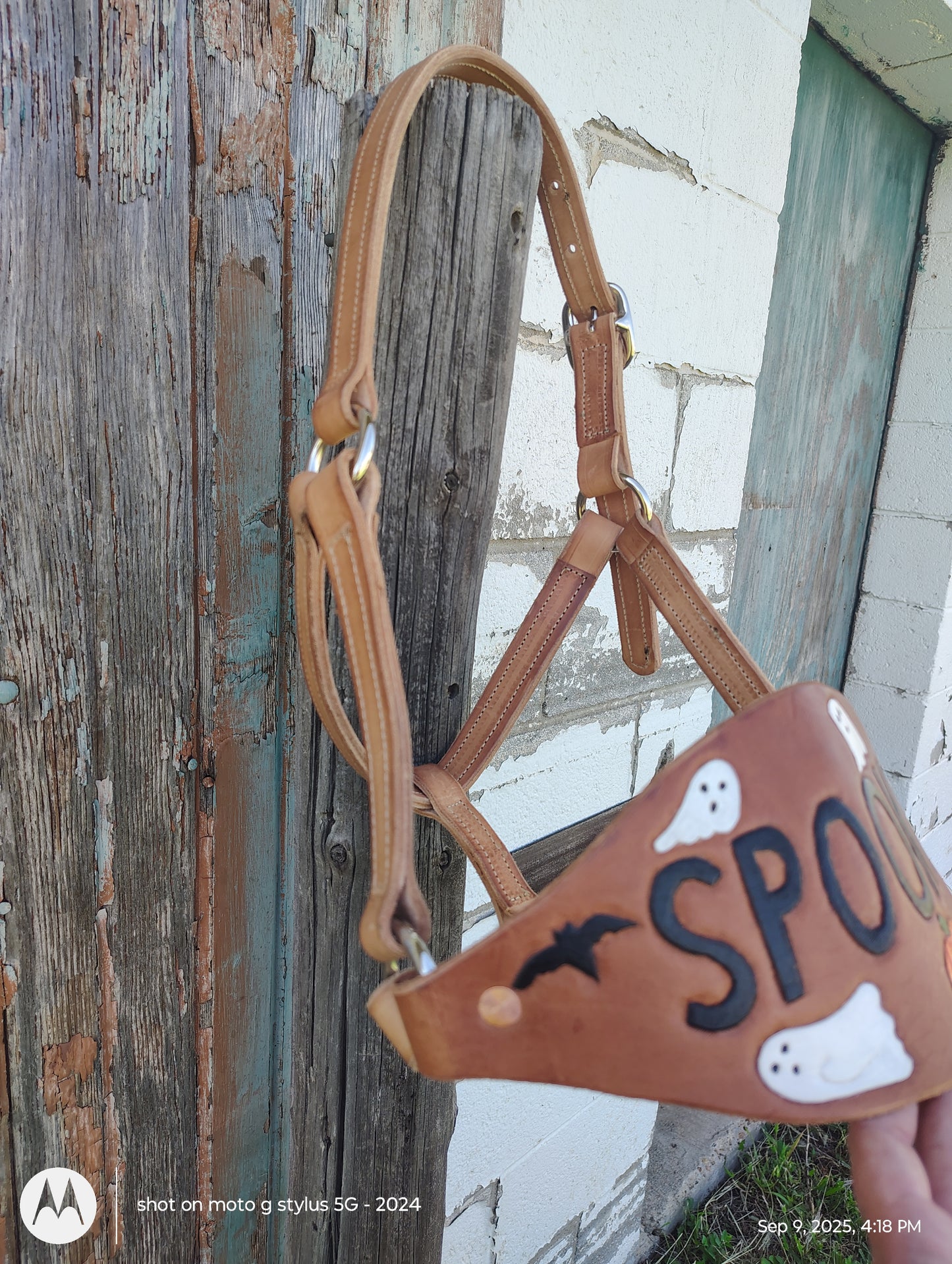 Spooky bronc halter