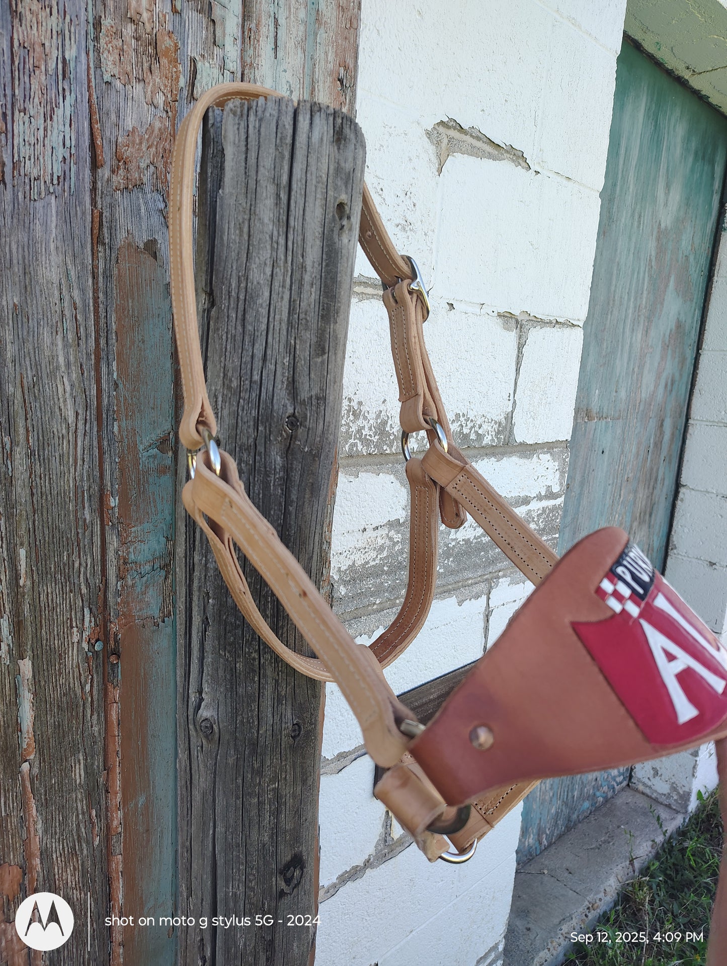 Alpo bronc halter