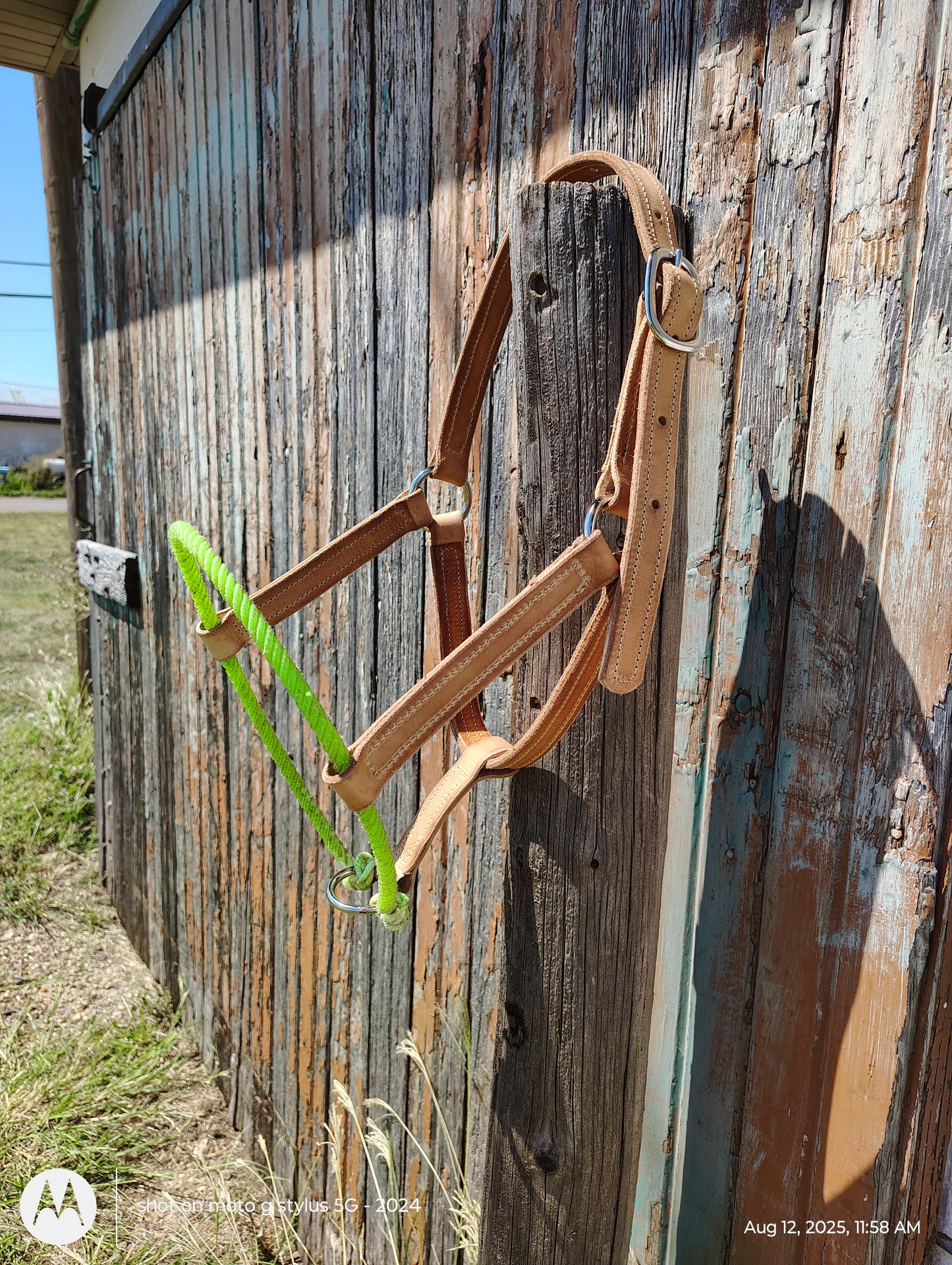 Rope noseband halter