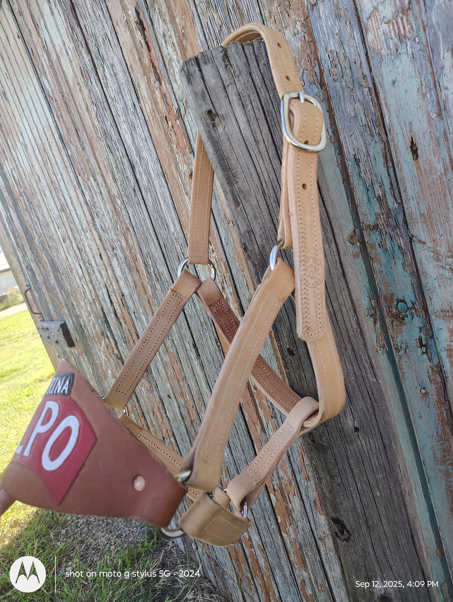 Alpo bronc halter