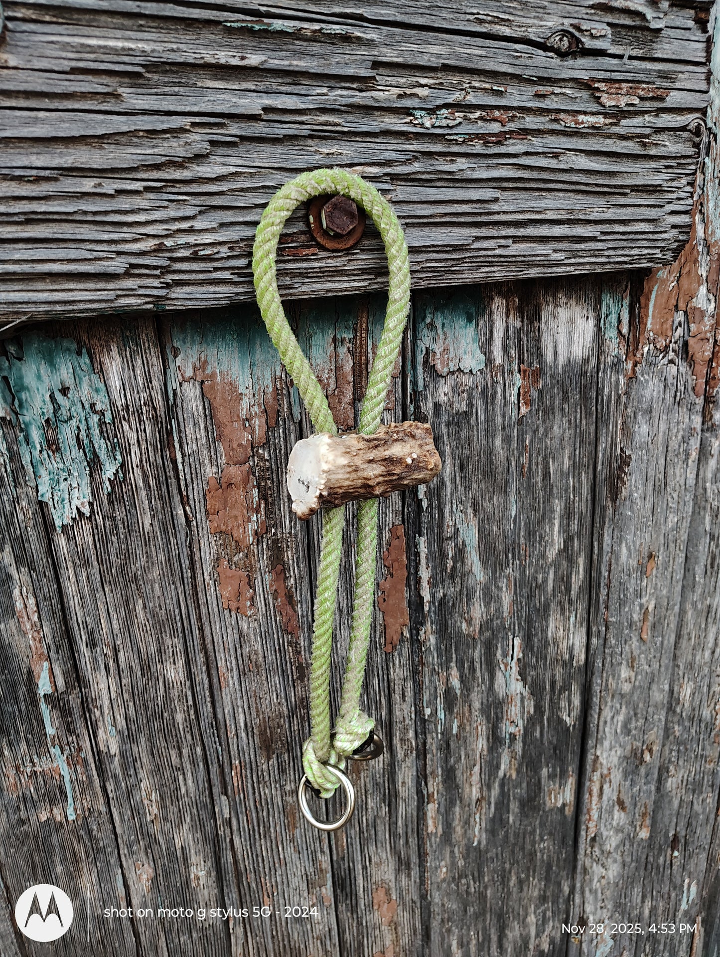War bridle with deer antler slide