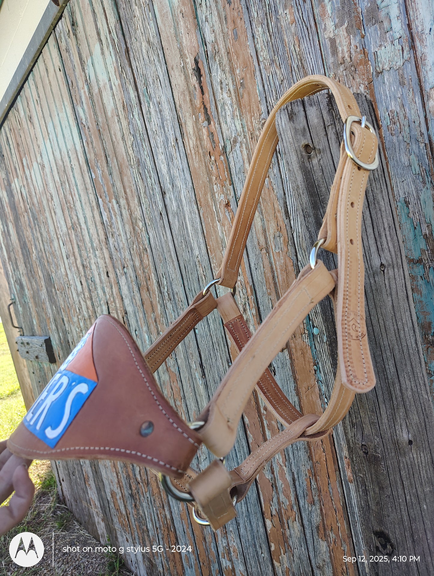 Elmer's bronc halter