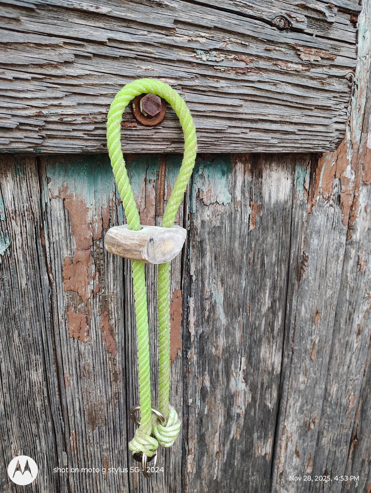 War bridle with deer antler slide