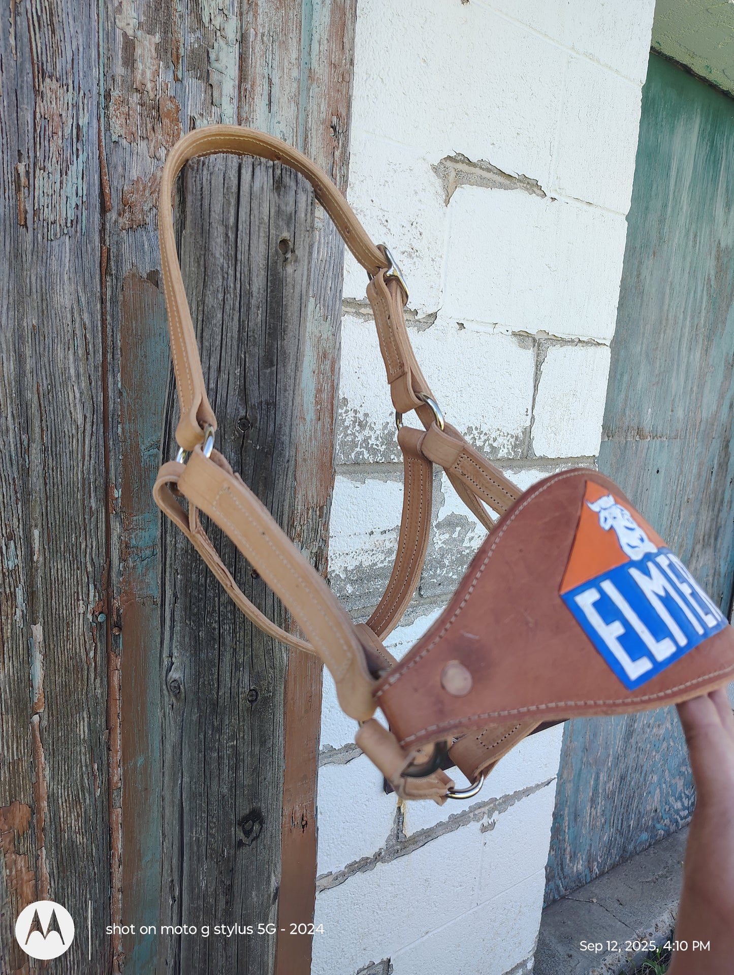Elmer's bronc halter
