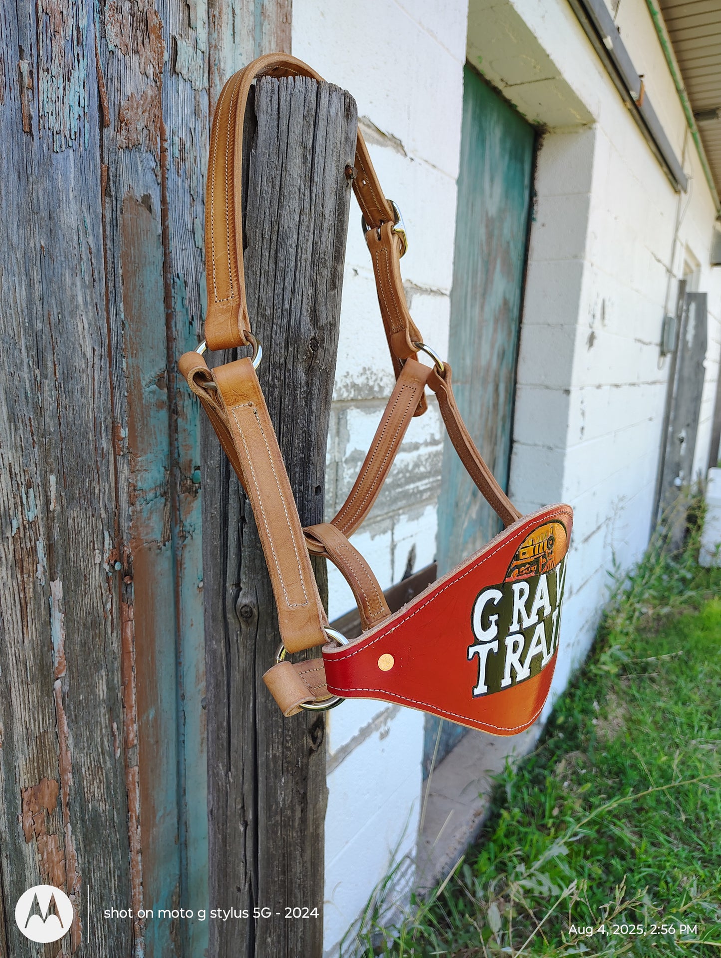 Gravy train bronc halter