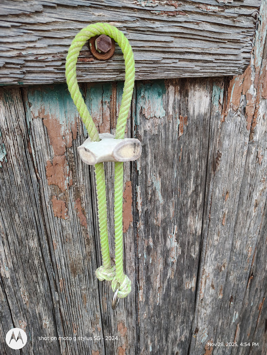 War bridle with deer antler slide