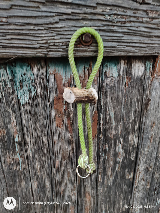 War bridle with deer antler slide
