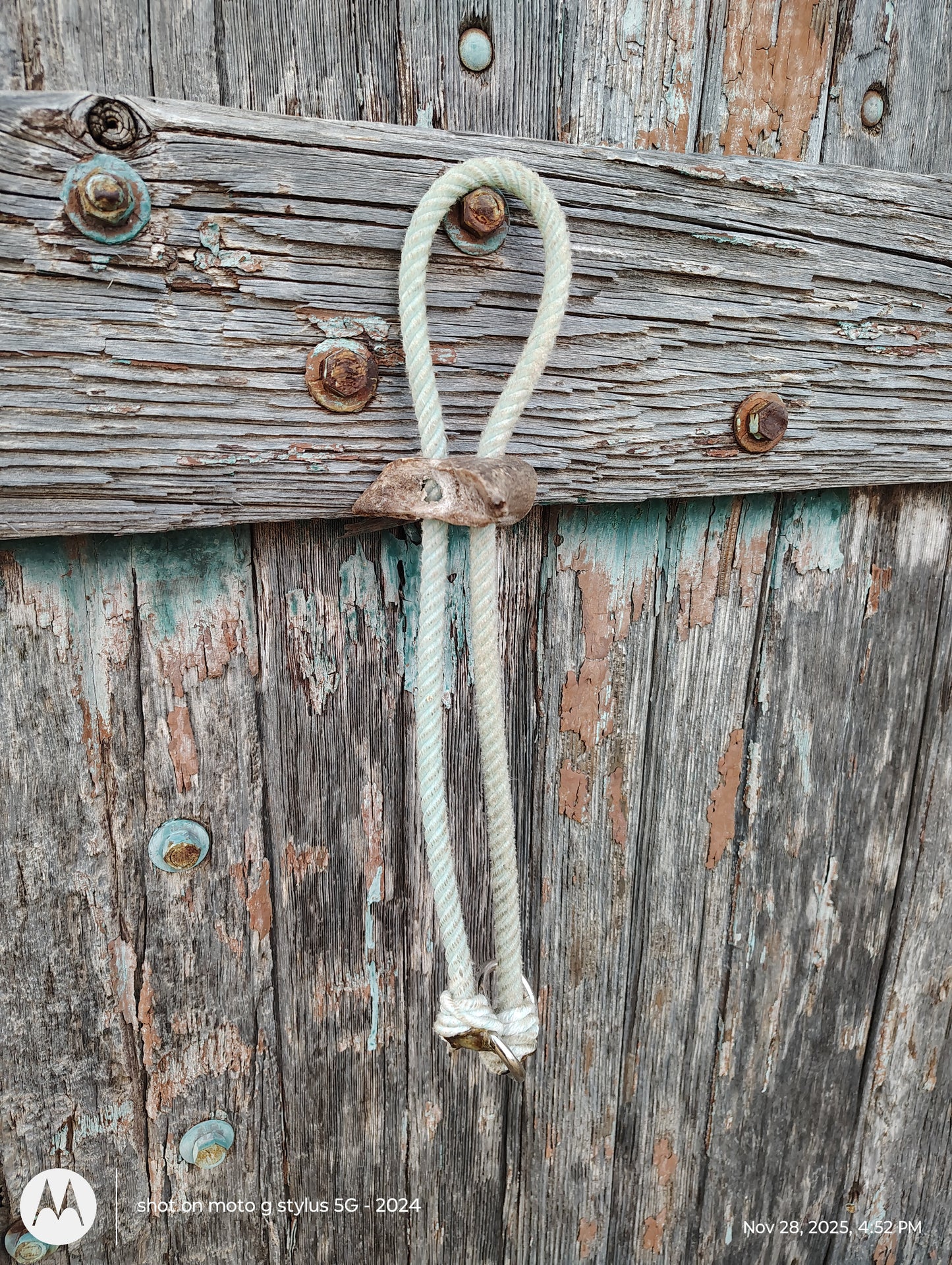 War bridle with deer antler slide